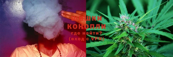 гидропоника Белокуриха