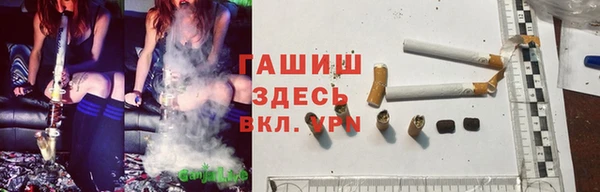 гидропоника Белокуриха