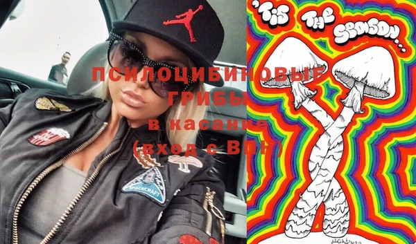 гидропоника Белокуриха