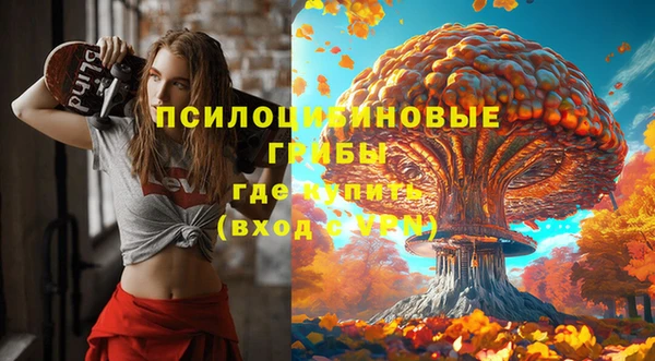 бошки Белоозёрский